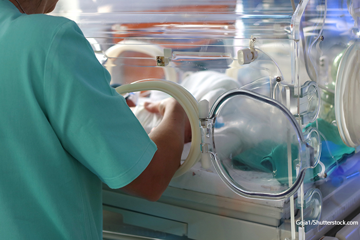 premature infant in incubator